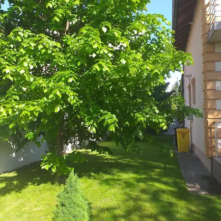 Luxury Villa Sarajevo With Swimming Pool サラエヴォ