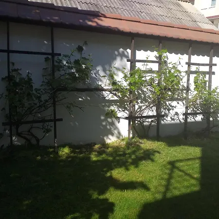 Luxury Villa Sarajevo With Swimming Pool ヴィラ *